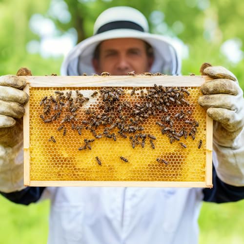 Honey Lake 20 Pack Deep Beehive Frames Kit with Durable Wooden Frames and Food-Grade Beeswax-Coated Plastic Foundations for Beekeeping (Yellow) - color: 20Pack-Yellow