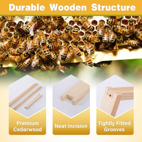 Bee Frames, Deep Beehive Frames with Wax Foundation, 10Pcs Hive Frames, 9-1/8-Inch, Unassembled