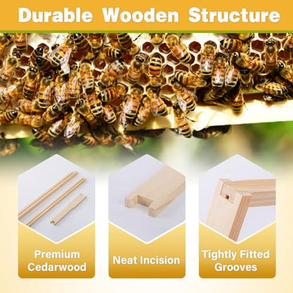 Bee Frames, Deep Beehive Frames with Wax Foundation, 10Pcs Hive Frames, 9-1/8-Inch, Unassembled