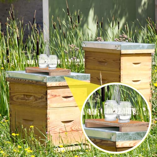 Rtteri 1 Pcs Bee Feeders for Hives with 2 Lids Wooden Honey Mason Jar Beehive Entrance Feeder for Beekeeping Bee Drinking Tools with Lids Drilled Feeding Sugar Syrup or Water (Jars Not Provided) - color: 2 Lids