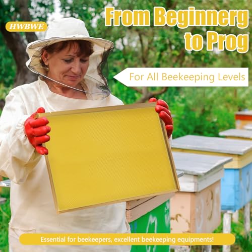 30PCS Pack Beehive Frames and Wax Foundations for Deep Brood Bee Hives 100% Beeswax Coated Foundations Yellow