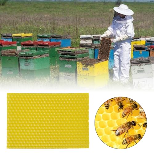 Flylin 20Pcs Beehive Wax Foundation Sheets, Natural Beehive Wax Foundation | Honeycomb Pattern, Smooth Texture, Beeswax Sheets, for DIY Candle Making, Furniture Floor Polishing