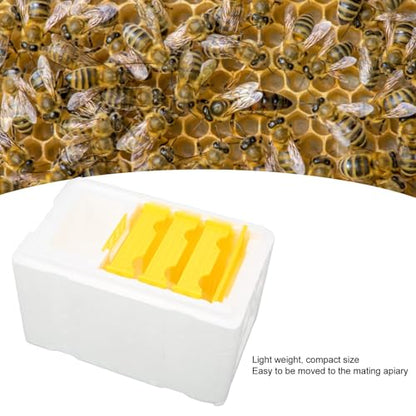 Foam Beehive Box for Beekeeping, Lightweight Portable Mating Box for Breeding and Reproduction, with Sliding Panels, Better Insulation Than Wooden