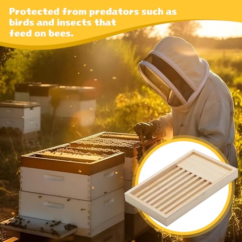 Leinuosen 2 Pack 8 Frame Slatted Rack for Beekeepers, Beehive Slatted Rack Assembled, Wood Hive Equipment, Durable Beekeeping Supplies for Beekeeping Tool(19.9 x 14 x 1.97 Inch)