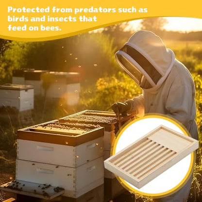 Leinuosen 2 Pack 8 Frame Slatted Rack for Beekeepers, Beehive Slatted Rack Assembled, Wood Hive Equipment, Durable Beekeeping Supplies for Beekeeping Tool(19.9 x 14 x 1.97 Inch)