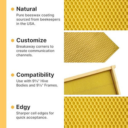 Mann Lake 8 1/2" Waxed Rite-Cell Foundation, Easy Install Bee Hive Frames, Durable & Bee Friendly Brood Chamber Essential, Withstands Heavy Extracting, Case of 100, Natural - color: Natural