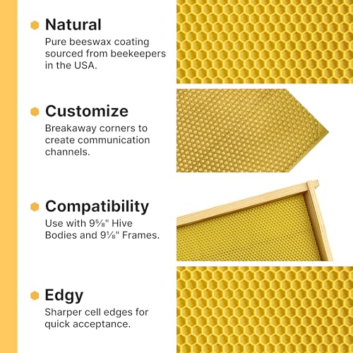 Mann Lake 8 1/2" Waxed Rite-Cell Foundation, Easy Install Bee Hive Frames, Durable & Bee Friendly Brood Chamber Essential, Withstands Heavy Extracting, Case of 100, Natural - color: Natural