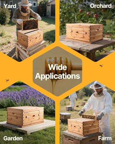 VEVOR 10 Frame Bee Hive, Beeswax Coated Fir Wood, Bee Hives Starter Kit,2 Deep + 2 Medium Bee Boxes Langstroth Beehive Kit, Transparent Acrylic Windows with Foundations for Beginners Pro Beekeepers - size: Deep Box x 2+ Medium Box x 2