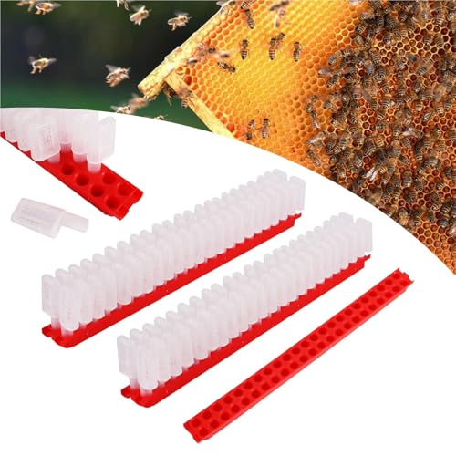 Beekeeping Queen Rearing Shipping Bar Banking Frame Bee Cage Box Transport Moving Isolator Imprison Prisoner(Kit-1Pc 46Pcs) - color: Kit-1Pc 46Pcs
