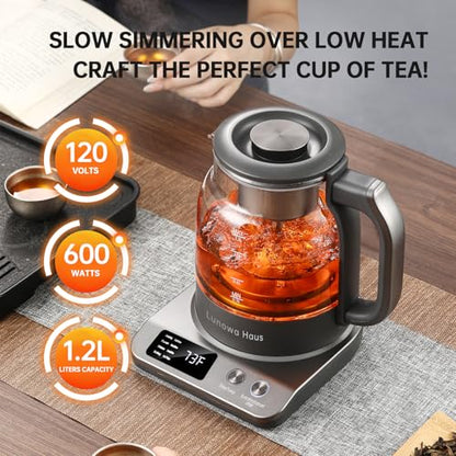 120V Titanium & Glass Electric Tea Kettle, Pro Steam Extraction for All Teas (Green, Black, Oolong), 11 Temp & 10 Strength Levels, 1.2L, 12H Keep Warm, BPA-Free, 1 Infusers - color: Grey with Extraction Tea Infuser