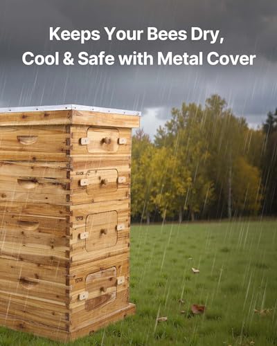 VEVOR 10 Frame Bee Hive, Beeswax Coated Fir Wood, Bee Hives Starter Kit,2 Deep + 2 Medium Bee Boxes Langstroth Beehive Kit, Transparent Acrylic Windows with Foundations for Beginners Pro Beekeepers - size: Deep Box x 2+ Medium Box x 2