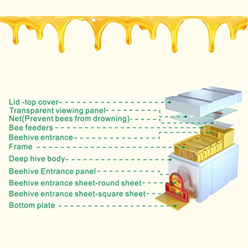 1set Nuc Box for Bees, 120kg/m³ High Density Foam Beehive Kit with 4 Plastic Frames & 1 Feeder, Queen Bee Mating Rearing Hives Essential Beekeeping Supplies