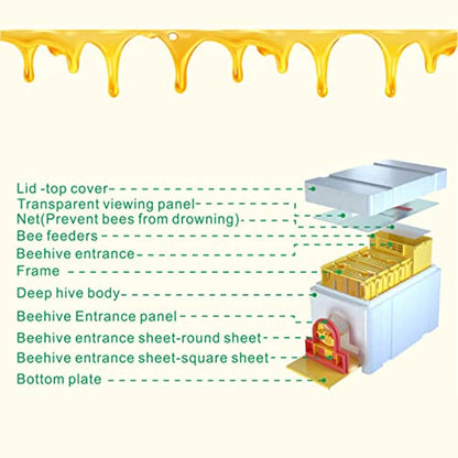 1set Nuc Box for Bees, 120kg/m³ High Density Foam Beehive Kit with 4 Plastic Frames & 1 Feeder, Queen Bee Mating Rearing Hives Essential Beekeeping Supplies