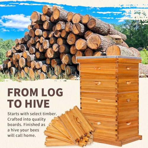 10-Frame Langstroth Bee Hive,4 Layers Beeswax Coated Beehive Kit Includes 2 Deep Brood Hive Boxes and 2 Medium Super Bee Box with Beehive Frames and Foundations for Beekeeper - size: 4 Layers