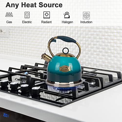 Tea Kettle -3.0 Quart Tea Kettles Stovetop Whistling Teapot Stainless Steel Tea Pots for Stove Top Whistle Tea Pot - color: Blue