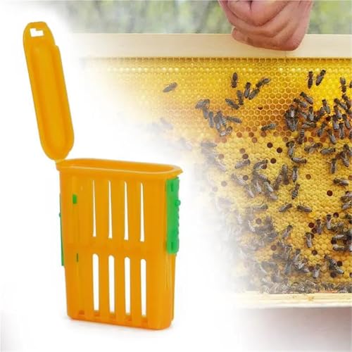 Queen Bee Cage 80Pcs Queen Bee Post Cage Beekeeping Queen Cages Move Transmit Grid Box Bee Marking Cage Beekeeping Tools Queens Shipping Box for Beekeepers