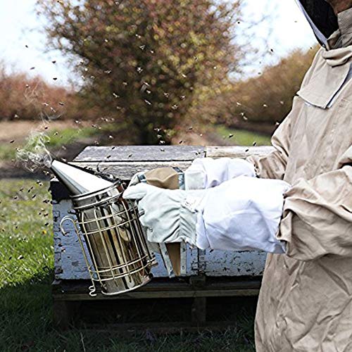 Bee Smoker with Heat Shield and plastic bellows, 201 Staniless Steel Beekeeping equipment