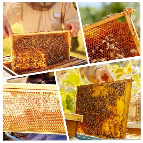 MayBee 40 Pack Honey Bee Frames with Heavy Beeswax Coated Food Grade Foundation Sheets, Medium Super Beehive Frame for Beekeeping, 6-1/4-Inch - color: 40 Pack Medium Frame yellow