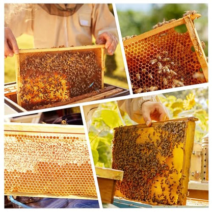 MayBee 40 Pack Honey Bee Frames with Heavy Beeswax Coated Food Grade Foundation Sheets, Medium Super Beehive Frame for Beekeeping, 6-1/4-Inch - color: 40 Pack Medium Frame yellow