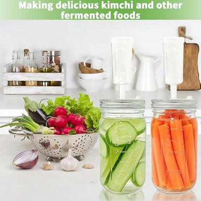 2 Pack Mason Jar Fermentation Kit(Jars Included)32 oz Wide Mouth Fermentation Jars with Plastic Lids,Airlock Lids & Glass Weights,Complete Mason Jar Set for Sauerkraut, Pickles,Kimchi, Hot Sauce,Mead
