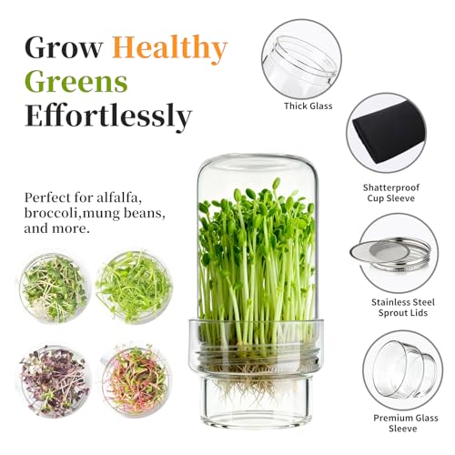 Sprouting Jar Kit, 2 Pack Wide Mouth Mason Jar Sprouting Kit with Sprout Lids, Blackout Sleeves, Drain Cover, Perfect for Home Gardeners, Health Enthusiasts & Vegan Diets - color: 2Pack+2Sleeve