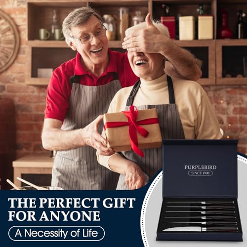 PURPLEBIRD Steak knives Set of 6, Serrated Steak Knife Set 4.5 Inch, Japanese High Carbon Steel Kitchen Steak Knife, Sharp Steak Knives with Wood Handle, Dinner Knife with Gift Box for Mom Dad - color: Red