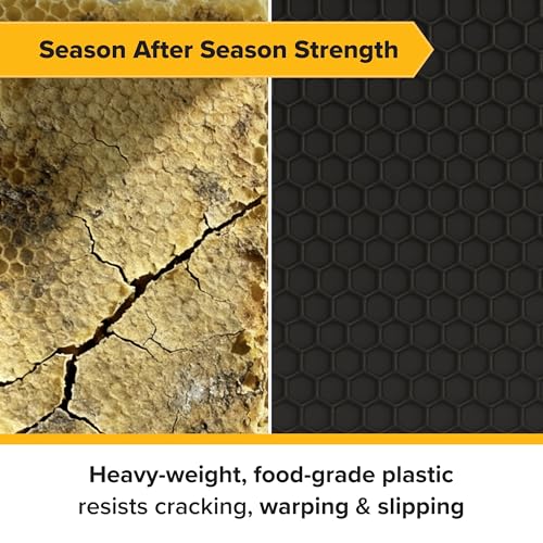 Mann Lake 5 5/8" Waxed Black Rite-Cell Foundation Sheets, Made in the USA, BPA-Free, Food-Grade, Beeswax-Coated for Beehive Frames, Fits 6 5/8" Hive Bodies, Durable, Wax Moth Resistant, 100-Pack - color: Black, size: 5-5/8-Inch