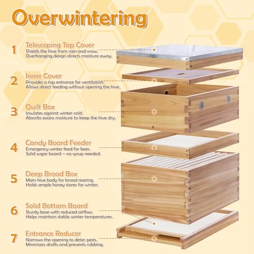 2-Pack Screened Bottom Board for 10-Frame Langstroth Beehive - Unfinished Solid Wood Beekeeping Base with Removable Tray & Entrance Reducer - Includes 1 Pair Protective Gloves