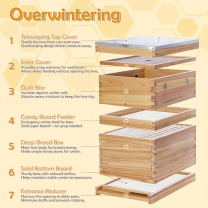 2-Pack Screened Bottom Board for 10-Frame Langstroth Beehive - Unfinished Solid Wood Beekeeping Base with Removable Tray & Entrance Reducer - Includes 1 Pair Protective Gloves