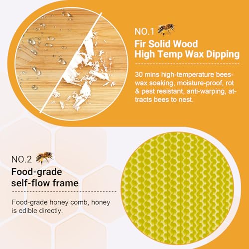 Bee Hive,Auto-Harvest Honey Beehive Wooden Box,Auto Bee Hives Boxes Starter kit with with Observation Chamber,Beehives and Supplies Starter Kit for Beekeepers