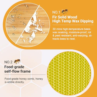 Bee Hive,Auto-Harvest Honey Beehive Wooden Box,Auto Bee Hives Boxes Starter kit with with Observation Chamber,Beehives and Supplies Starter Kit for Beekeepers