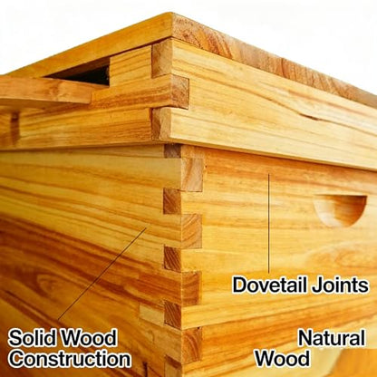 COZIWOW 2-Layer Beehive Wood Sections & Complete Hive Box, Natural Pine Beehive Kit with Frames, Sections of Wood for Beehives, Beekeeping Supplies for Langstroth Hives