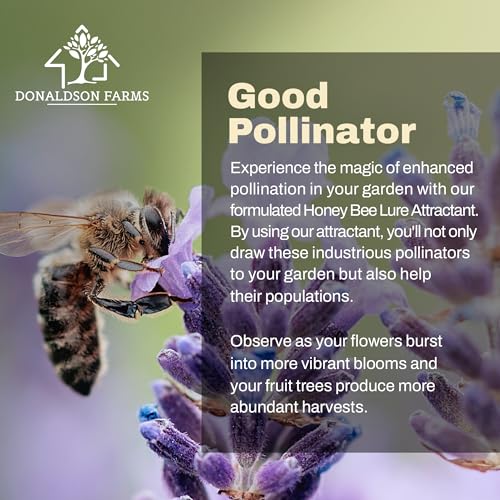 Donaldson Farms - Honey Bee Attractant Spray - Bee Hive Lure for Gardens, Beehives, Flowers & Fruit Trees with Natural Lemongrass Oil Formula, Easy to Use for Beekeepers & Pollinator Support - 2 oz