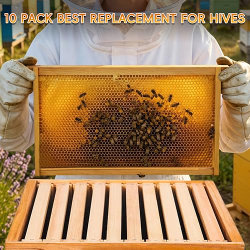 10 Pack Beehive Frames Deep Unassembled, Wooden Bee Frames with Plastic Beeswax Coated Foundations for Deep Brood Box (Yellow) - color: Yellow, size: 10 Pack