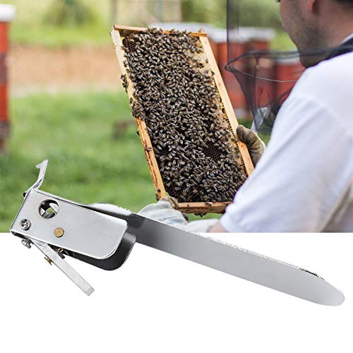 Stainless Steel Screwdriver, Magnetic Screwdriver,Beekeeping Grafting Needle | Stainless Steel Larva Transfer Tool | Single - End Shift Pin for Bee Larva Transfer | Includes Screwdriver & Spare Parts