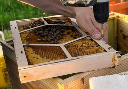 Anthony's Beehive NEW Essential Beekeeping Tool for Easily Securing Hive Cut Outs, Reusable, Wonky Comb Holder, 2 Pairs