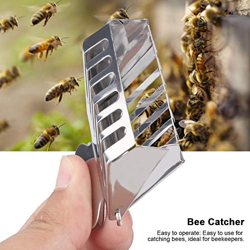 Queen Bee Cage Catcher Clips, 2.72 X 1.93in Stainless Steel Queen Bee Cage, Beekeeping Catching Tool for Beekeepers
