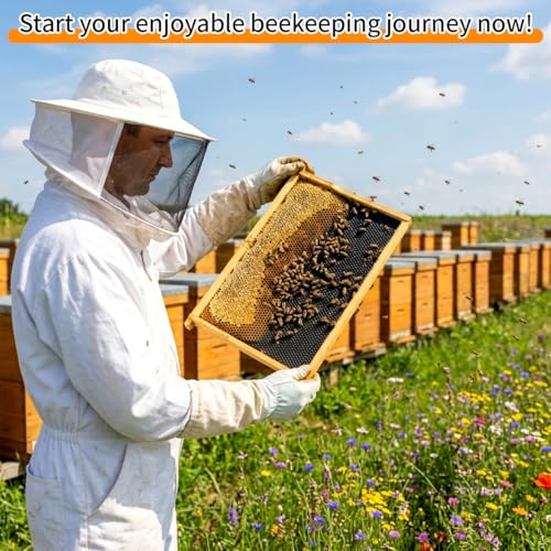 20 Pack Beehive Frames and Wax Foundations for Deep Brood Bee Hives Frames with 100% Beeswax Coated Foundations Sheets Deep Honey Bee Frames and Foundations for Beekeeping - size: 20-Pack