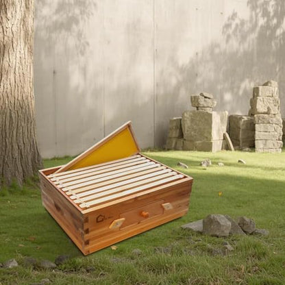 10 Frame Bee Box, Wax Coated Bee Hives with Beehives Frames and Wax Foundations, Langstroth Honey Super for Beekeeping Supplement (Unassembled) - style: with Window Medium