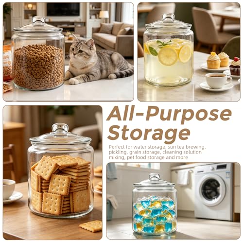 Masthome 1 Gallon Glass Jar with Lid,Large Glass Cookie Jar,Wide Mouth,Dishwasher Safe,Large Clear Jar,Storage Containers with Lids For Flour,Nuts,Cookies,Snacks - color: Glass Storage Jars Set