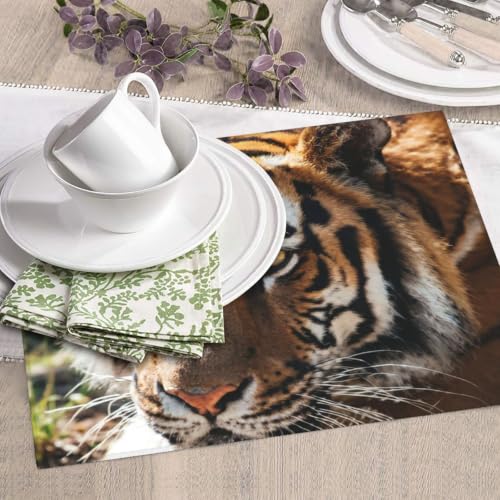 Wild Animal Tiger Dish Drying Mat for Kitchen Counter, Absorbent Microfiber Drainer Mats, Non-slip Kitchen Draining Mat for Coffee Machine Dish Rack Pad 18"x16" Dish Drainer Pad - color: Wild Animal Tiger
