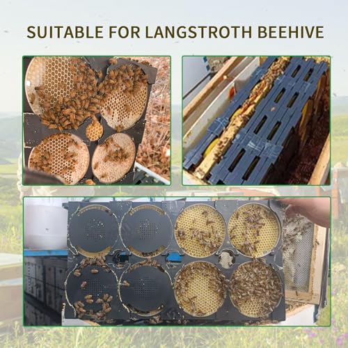 Honeycomb Frame Kit - 10 Year 5 Generation Upgraded Hive-to-Table Honey Processing Kit, Complete Langstroth Beehive Honey Comb Cassette Set for Beekeeping Honey Harvesting & Packaging (1)