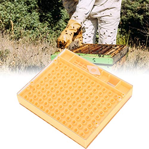 Queen Bee Incubator, Plastic Bee Grafting Less Larva Moving Breeding Box, Beekeeper Tool for Raising Queen Cells with Cups
