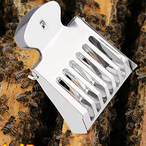Stainless Steel Queen Bee Catcher Clip Efficient Bee Cage Clip Tool for Beekeepers
