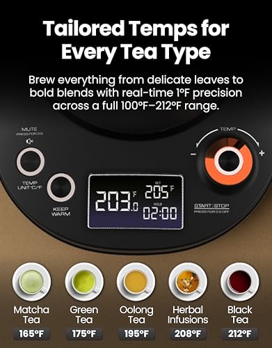 Viante Electric Gooseneck Kettle 0.8L, Pour Over Coffee & Tea, Temp Control | Boil-dry protection, keep-warm function, BPA-free stainless steel body. Includes #2 coffee filters - style: Gooseneck