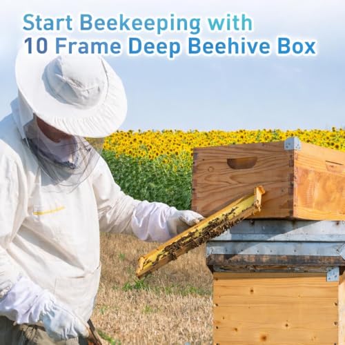 10 Frame Deep Beehive Box, Deep Brood Box Dipped in Beeswax, Wax Coated Beehive Box for Beginner Beekeeper, Screws Included, Unassembled (No Frames or Foundations),