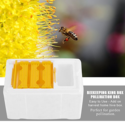 Bee Mating Hive Case Box, Beekeeping Queen Breeding Box with Water Feede, Rearing Beehive Harvest Beekeeping King Pollination Box, hive Beekeeper Supplies Reserve Tool