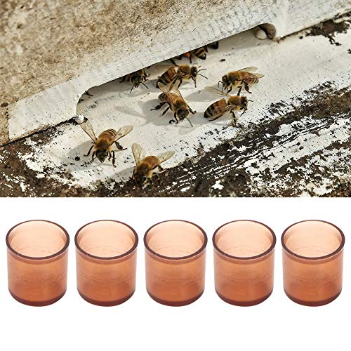Queen Rearing Cell Cup Queen Rearing Beekeeping Queen Bee Rearing Grafting Kit Beekeeping Tools are Suitable for Beekeepers in The Beekeeping Industry 500pcs