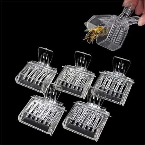 Queen Bee Cage 30Pcs Clear Clipping Bee Queen Cages Beekeeper's Essential for Safe Transport Hive Management Durable Plastic for Beekeeping Supplies