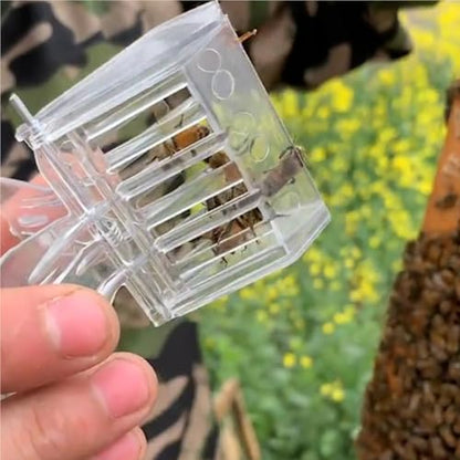 30PCS Durable Plastic Clear Beekeeping Clip Queen Bee Cage No-Hurt Beekeeper Equip Insect Catcher Garden Tool Beehive Room